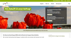 Desktop Screenshot of bvaargau.ch