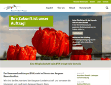 Tablet Screenshot of bvaargau.ch